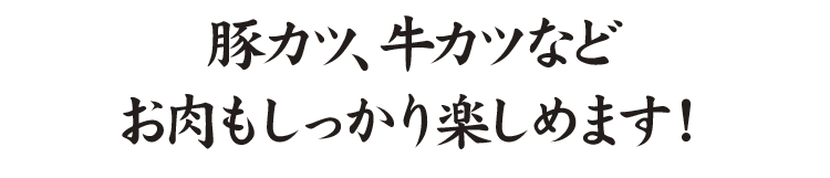 ステーキ、豚カツなど お肉もしっかり楽しめます！